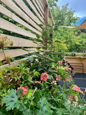 Emerson Landscapes - Landscape Construction in Golden, CO