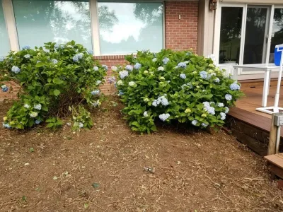 Brison Landscaping - Landscape Construction in Hockessin, DE