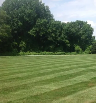 Bruster's Landscaping Inc. - Landscape Construction in Hockessin, DE
