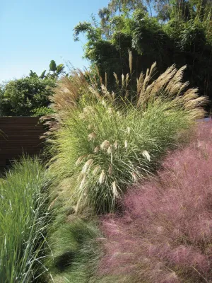 Sunset Residence — Landscape Design project by GEL: Griffin Enright Landscape in Santa Monica