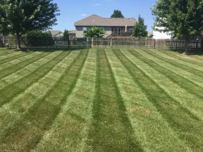 Lawn care — Landscape Construction project by C|l Turf