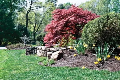 Architectural Inflorescence - Landscape Design in Greenwich, CT