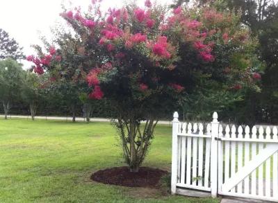 Artistic Land Crafters,LLC - Landscape Construction in Metairie, LA