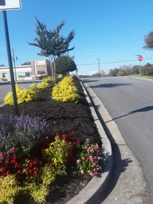Atlanta Straw - Landscape Construction in Atlanta, GA