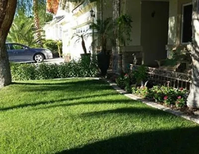 Backyard Connection - Landscape Construction in Henderson, NV