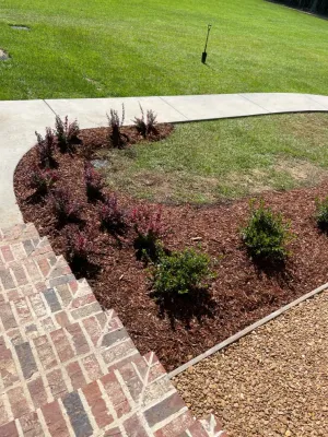 Bane Landscape Co. - Landscape Construction in Gulfport, MS