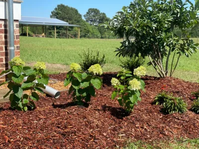 Bane Landscape Co. - Landscape Construction in Gulfport, MS