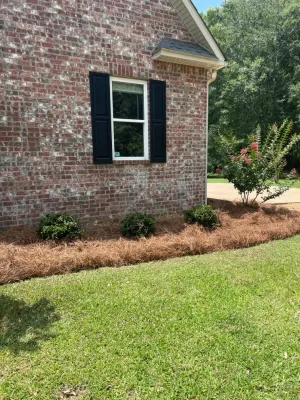 Bane Landscape Co. - Landscape Construction in Gulfport, MS