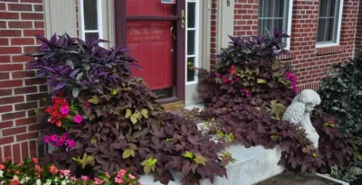 Our Work — Landscape Construction project by Berger Hargis Landscape Management