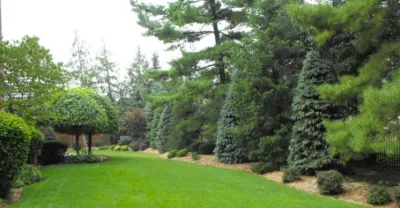 Berger Hargis Landscape Management - Landscape Construction in Indianapolis, IN