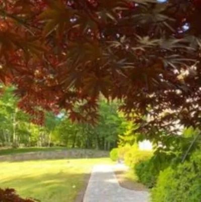 Business_Name_Placeholder - Landscape Construction in Nashua, NH