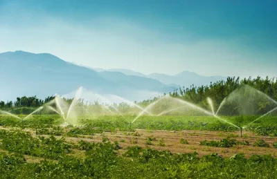 Charlotte Irrigation Systems - Landscape Construction in Charlotte, NC
