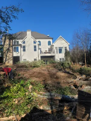 D M landscape design llc - Landscape Construction in Marietta, GA