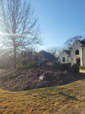D M landscape design llc - Landscape Construction in Marietta, GA