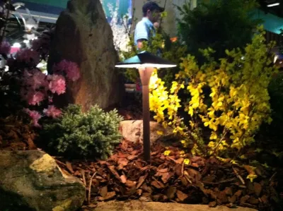 Discovery Landscape Co - Landscape Construction in Greensboro, NC