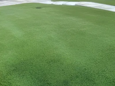 Flawless Grass & Hardscape - Landscape Construction in Newport Beach, CA