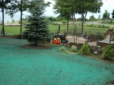Forest View Executive Services - Landscape Construction in Holland, MI
