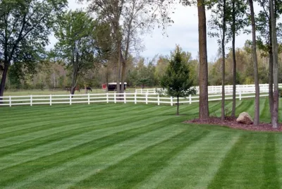 Forest View Executive Services - Landscape Construction in Holland, MI
