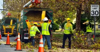 Four Seasons Trees - Landscape Construction in Skokie, IL