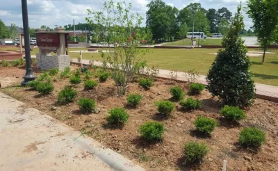 Commercial Landscape — Landscape Design project by Georgia Landscape And Tree Service in Atlanta