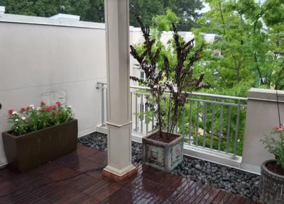 Georgia Landscape and Tree Service - Leaf Removal & Cleanup in Tucker, GA