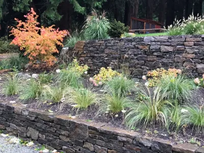 Geoscapes Inc. - Garden Remodeling in Bellingham, WA