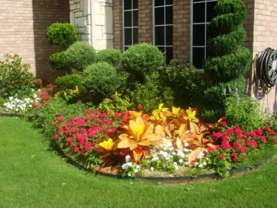 Various Recent Install Projects in Dallas, Prosper by Absolutely Bushed Landscaping