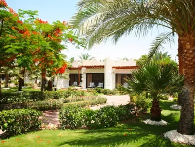 Greener Image - Landscape Construction in Coconut Creek, FL