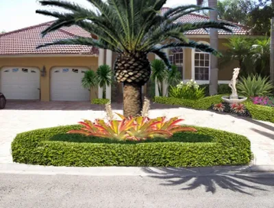 Greener Image - Landscape Construction in Coconut Creek, FL