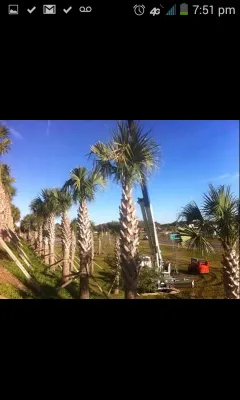 Ground Up inc. landscape and irrigation - Landscape Construction in Birmingham, AL