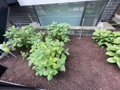 Landscaping Maintanence by Moritz Welt - Landscape Construction in Chicago, IL