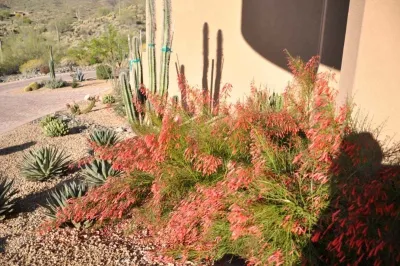 Giardinello Landscape & Design, LLC - Garden Remodeling in Fountain Hills, AZ