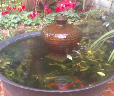 Dbh Designs. LLC - Landscape Design in New Orleans, LA