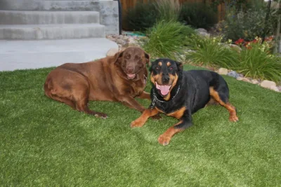 Mile High Synthetic Turf - Landscape Construction in Brighton, CO