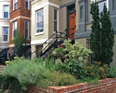 Ginkgo Gardens - Deck Building & Repair in Washington, 