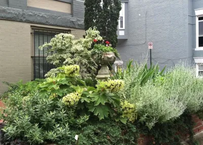 Ginkgo Gardens - Deck Building & Repair in Washington, 