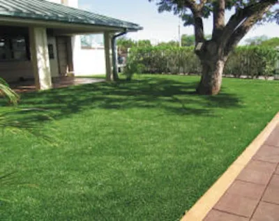 Nylawn - Landscape Construction in Honolulu, HI