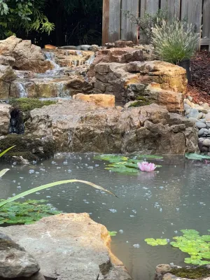 Oasis Water Gardens - Landscape Construction in 