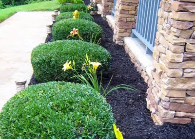 Patriot Lawn & Landscape - Landscape Construction in Fort Payne, AL