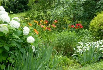 Premiere Landscape Inc. - Landscape Construction in Weston, MA