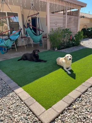 Pets with Artificial Turf — Landscape Construction project by Southern Turf Co. Kansas City