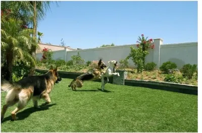 SYNLawn of Nevada - Landscape Construction in Las Vegas, NV