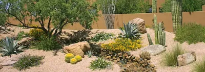 TMC Landscape - Landscape Construction in Mesa, AZ