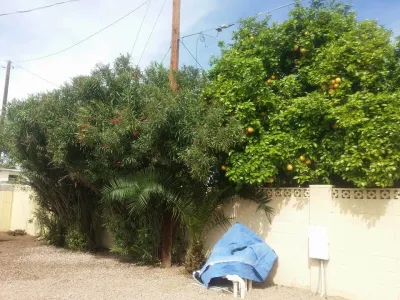 Past Work — Landscape Construction project by Tommy's Yards Landscaping
