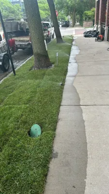Totally Terrain Landscaping & Maintenance - Landscape Construction in Chicago, IL