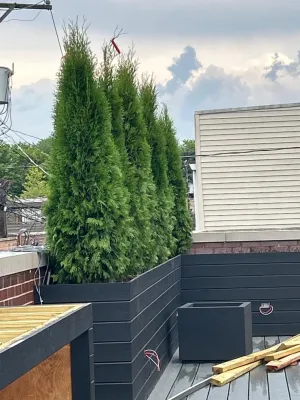 Totally Terrain Landscaping & Maintenance - Landscape Construction in Chicago, IL