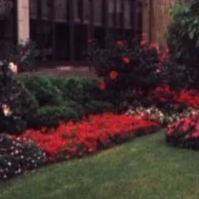Trinity Landscape Of Northern Illinois, Inc - Landscape Construction in West Dundee, IL