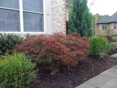 Unlimited Landscaping of America - Landscape Construction in Baltimore, MD