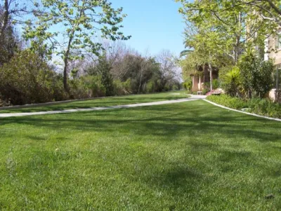 Western Garden Landscaping, INC. - Landscape Construction in Carlsbad, CA
