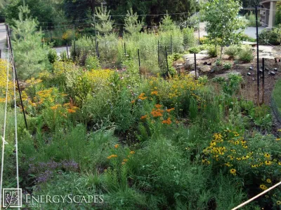 Native Gardens — Landscape Design project by EnergyScapes